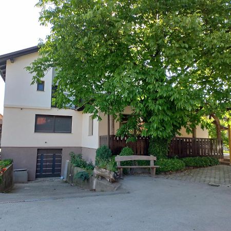 Sobe Levc Bed & Breakfast Mozirje Dış mekan fotoğraf